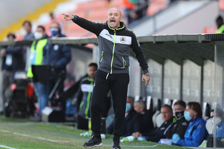 Vincenzo Italiano - Torino manager